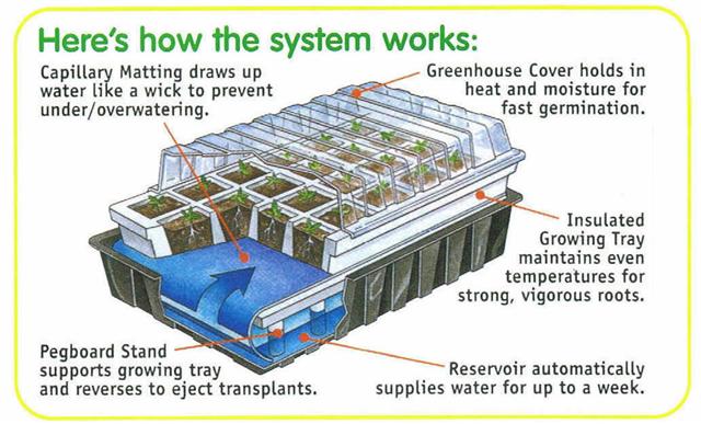 Parasene Self Watering Propagation Tray